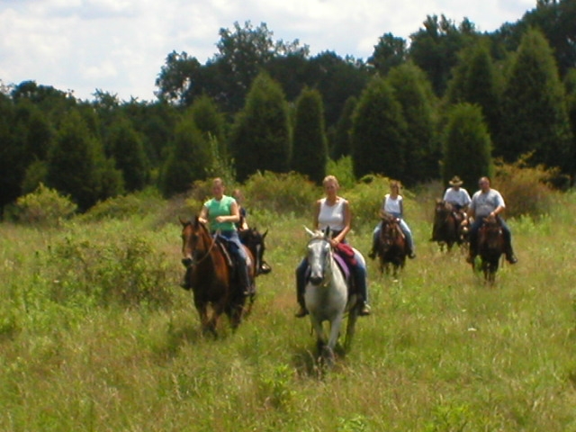  Passeios a cavalo na natureza